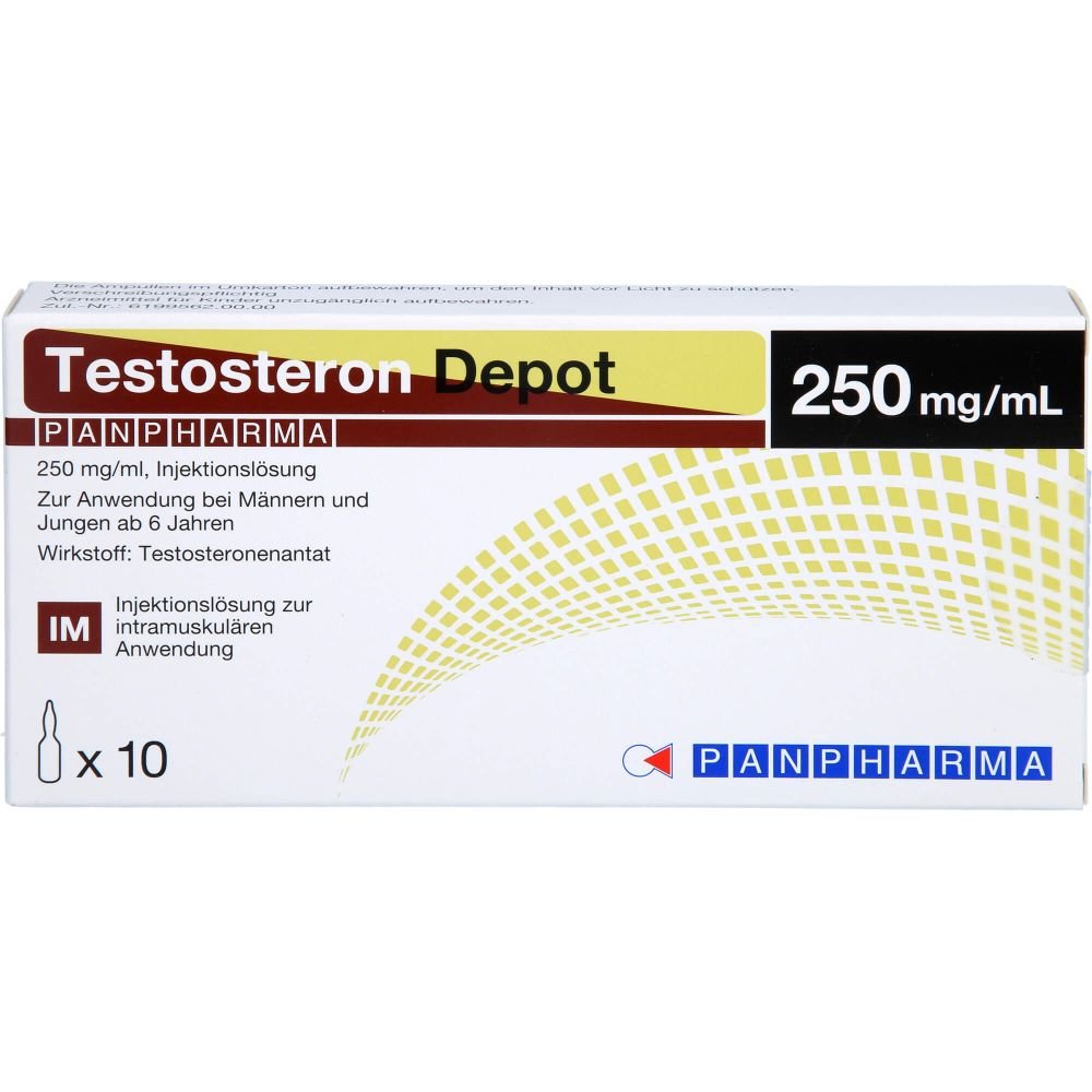 Test E 250mg/ml – 10 × 1ml Ampoules – Panpharma – Pharma Grade