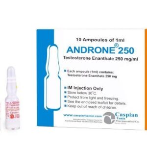 Test E 250mg/ml – 10 × 1ml Amps – Caspian Tamin - Pharma Grade