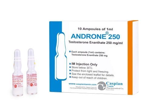 Test E 250mg/ml – 10 × 1ml Amps – Caspian Tamin - Pharma Grade